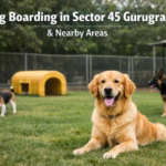 Dog Boarding in Sector 45 Gurugram and nearby areas