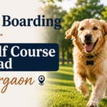 Pet Boarding Near Golf Course Road Gurgaon