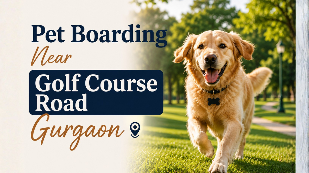 Pet Boarding Near Golf Course Road Gurgaon