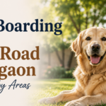 Pet Boarding in MG Road Gurgaon