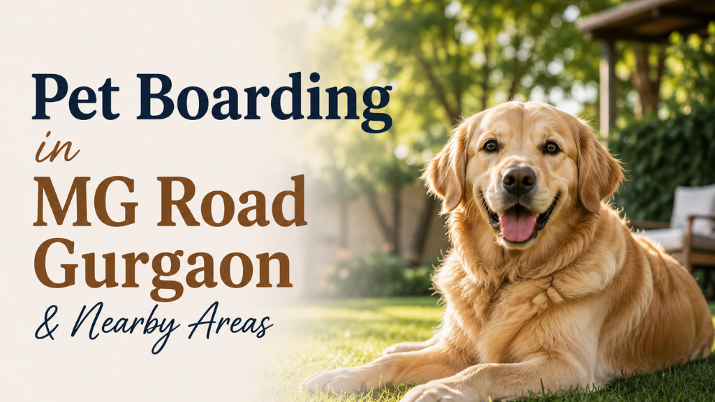 Pet Boarding in MG Road Gurgaon