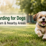 Day Boarding for Dogs in Gurugram & Nearby Areas