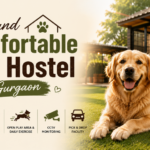 MS Dog Training and Boarding House